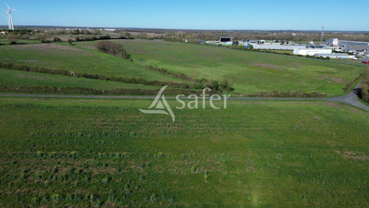 Explotaci&oacute;n ovina En venta Deux-S&egrave;vres