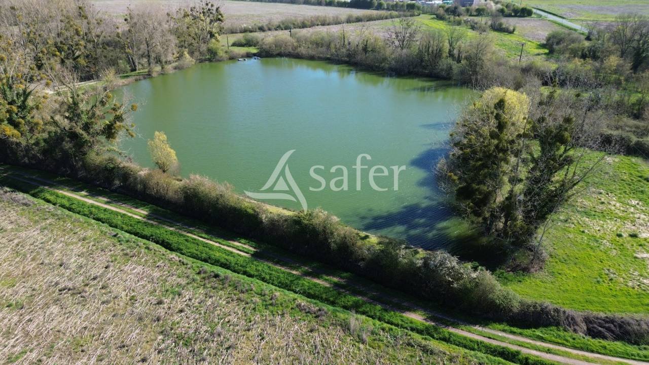 Explotaci&oacute;n ovina En venta Deux-S&egrave;vres