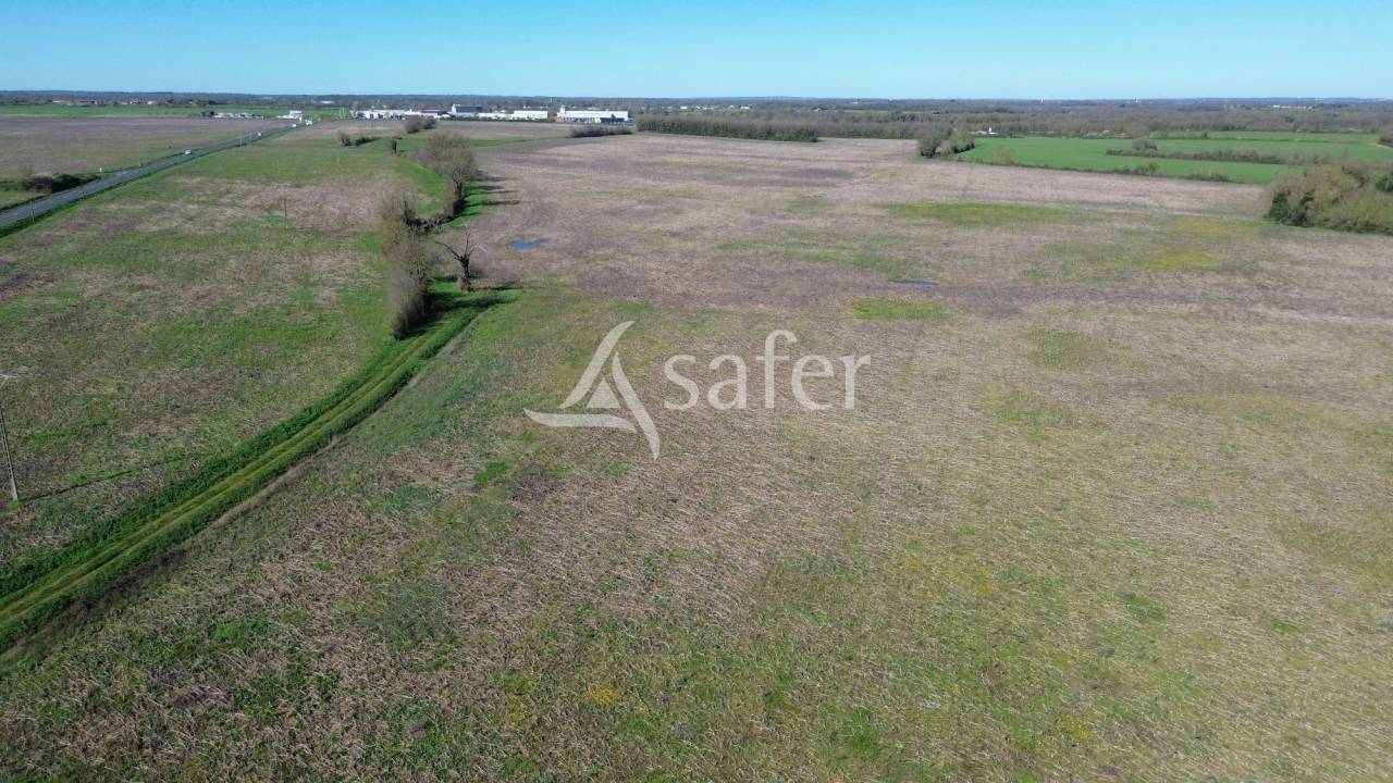 Explotaci&oacute;n ovina En venta Deux-S&egrave;vres