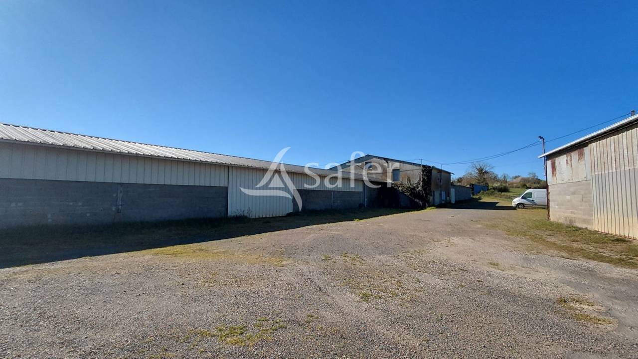 Explotaci&oacute;n ovina En venta Deux-S&egrave;vres