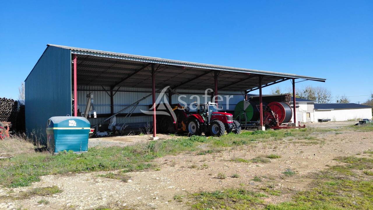 Explotaci&oacute;n ovina En venta Deux-S&egrave;vres