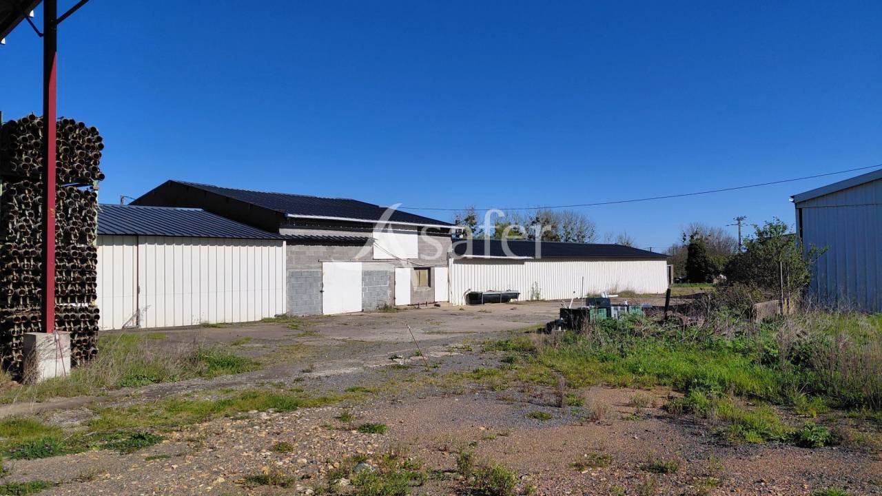 Explotaci&oacute;n ovina En venta Deux-S&egrave;vres