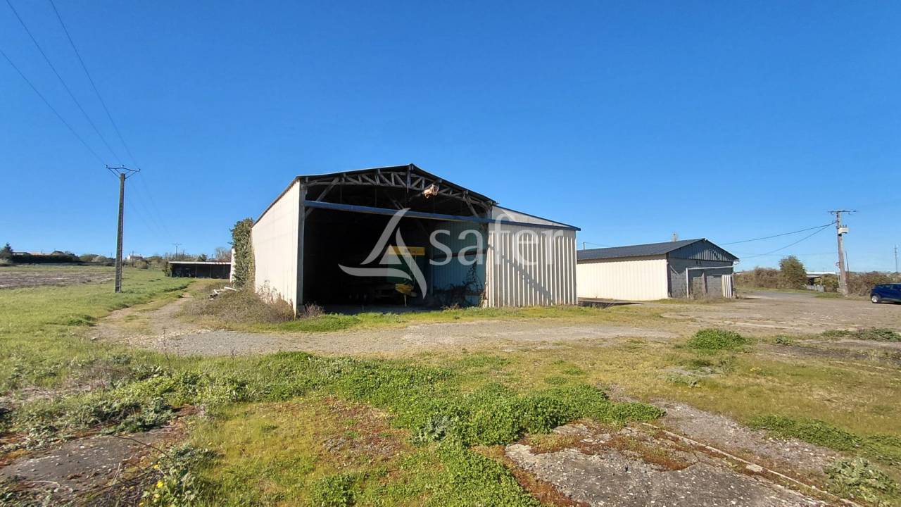 Explotaci&oacute;n ovina En venta Deux-S&egrave;vres