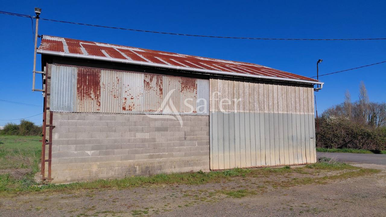 Explotaci&oacute;n ovina En venta Deux-S&egrave;vres