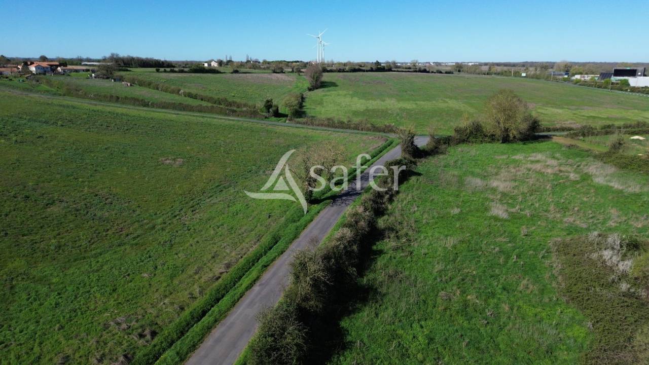 Explotaci&oacute;n ovina En venta Deux-S&egrave;vres