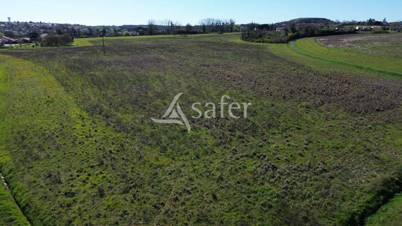 Explotaci&oacute;n ovina En venta Deux-S&egrave;vres