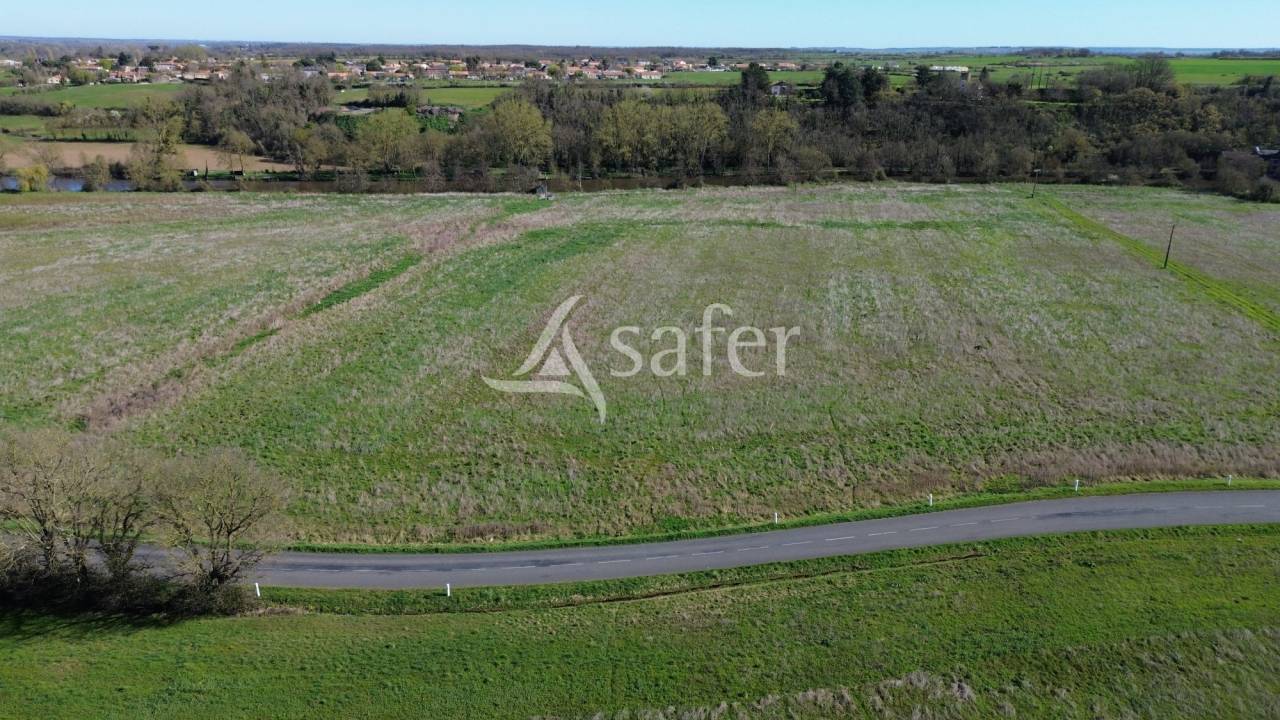 Explotaci&oacute;n ovina En venta Deux-S&egrave;vres