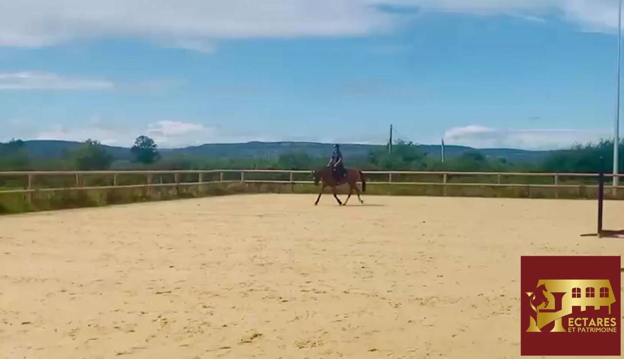 Propiedad ecuestre En venta Saona y Loira