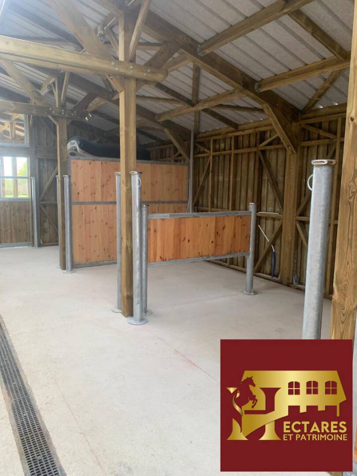 Propiedad ecuestre En venta Saona y Loira