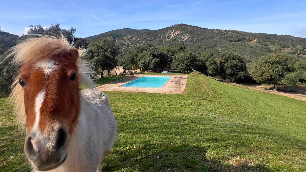 Bonita residencia ecuestre En venta Var