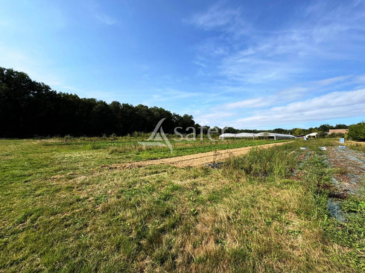 Explotaci&oacute;n av&iacute;cola En venta Sena y Marne