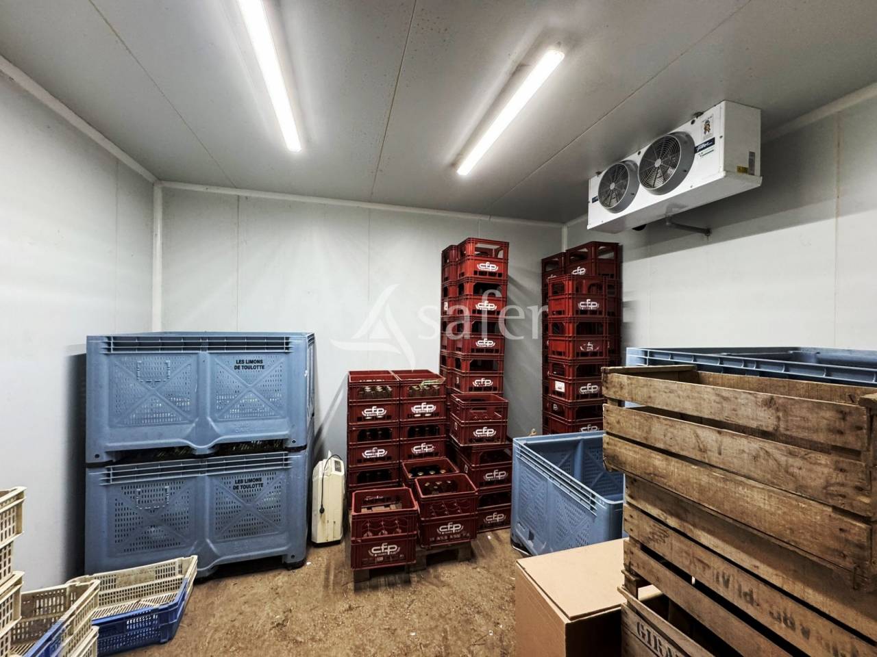 Explotaci&oacute;n av&iacute;cola En venta Sena y Marne