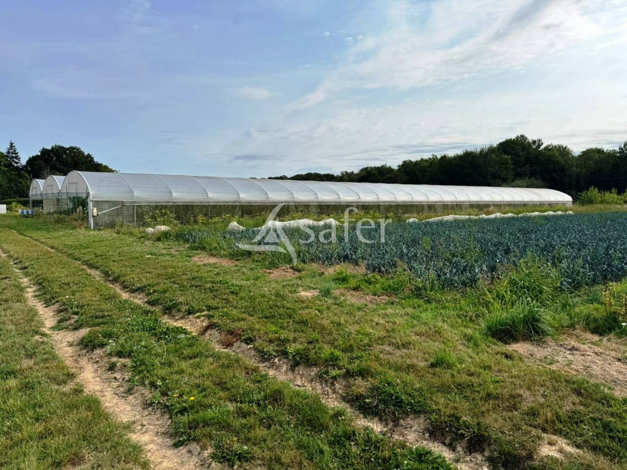 Explotaci&oacute;n av&iacute;cola En venta Sena y Marne