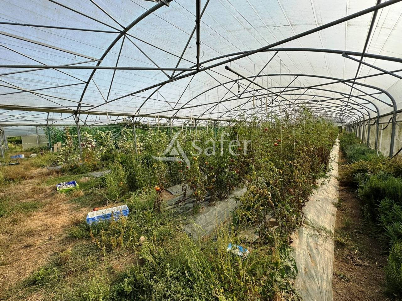 Explotaci&oacute;n av&iacute;cola En venta Sena y Marne