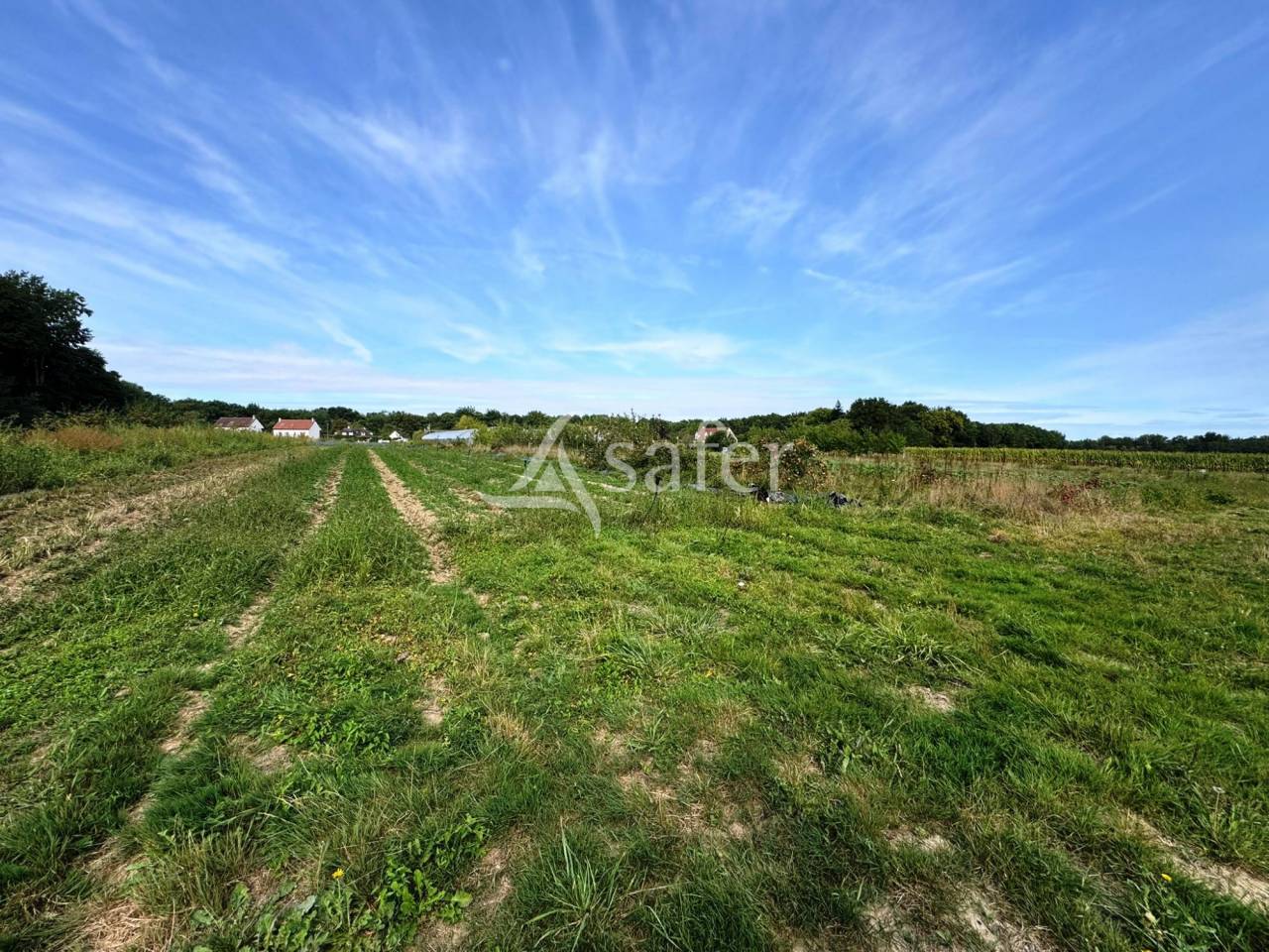 Explotaci&oacute;n av&iacute;cola En venta Sena y Marne