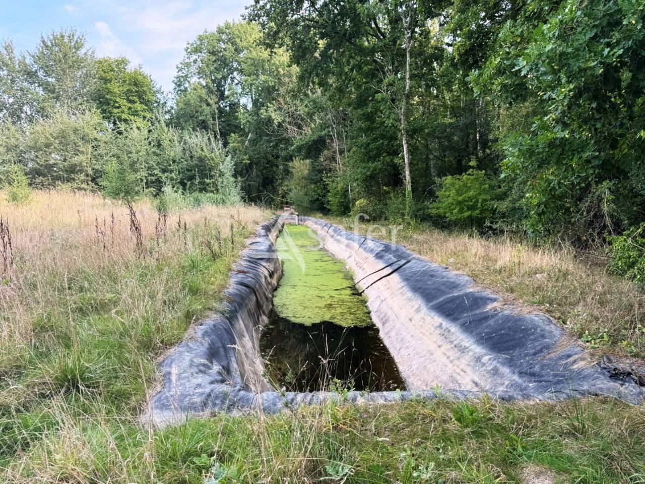 Explotaci&oacute;n av&iacute;cola En venta Sena y Marne