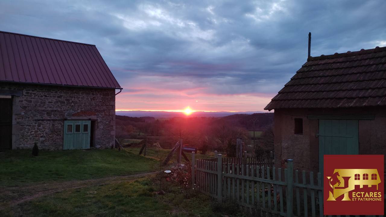 Albergue ecuestre En venta Allier