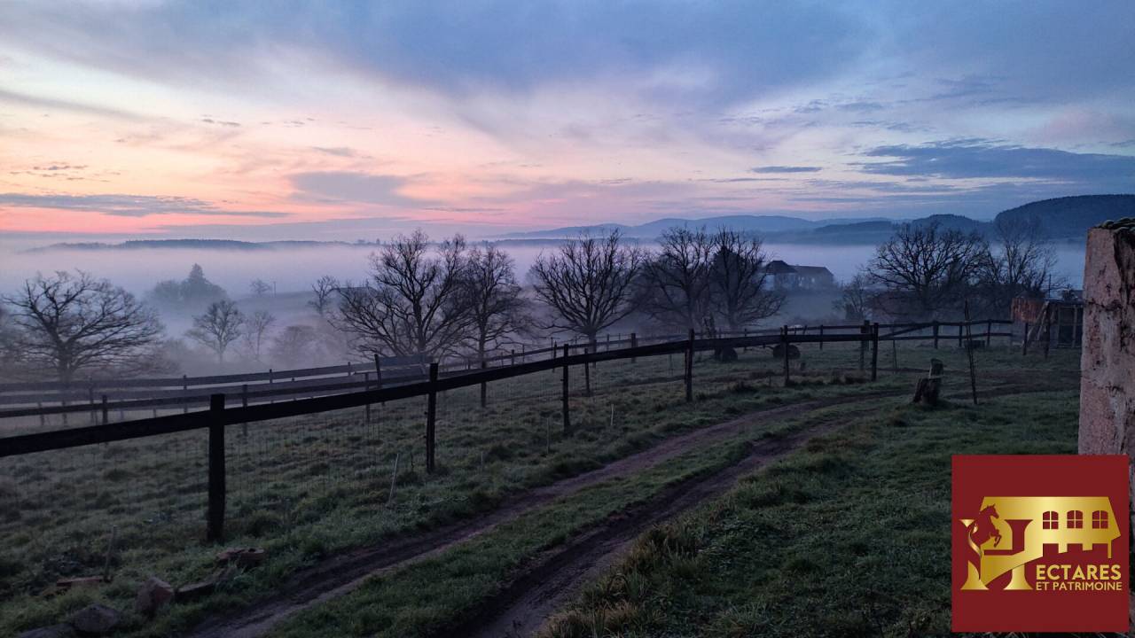 Albergue ecuestre En venta Allier