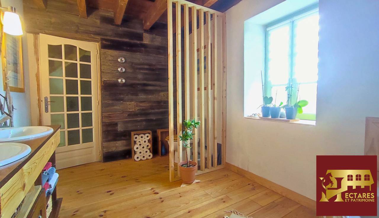 Albergue ecuestre En venta Allier