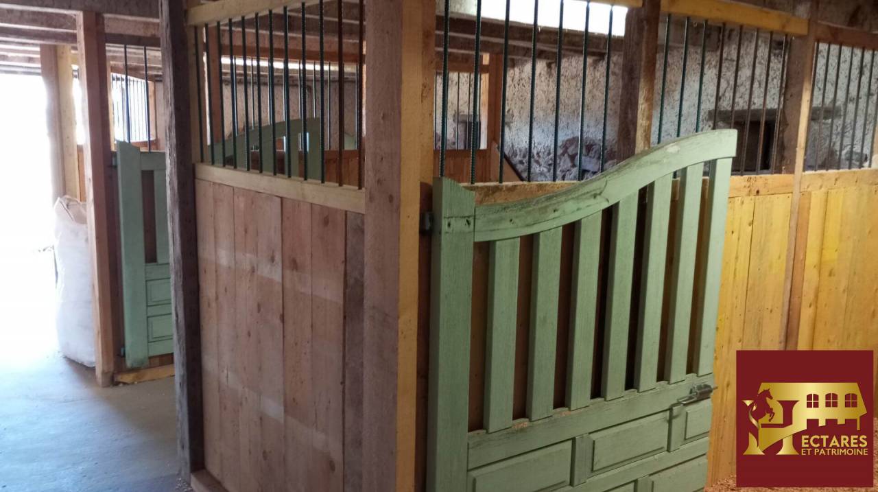 Albergue ecuestre En venta Allier