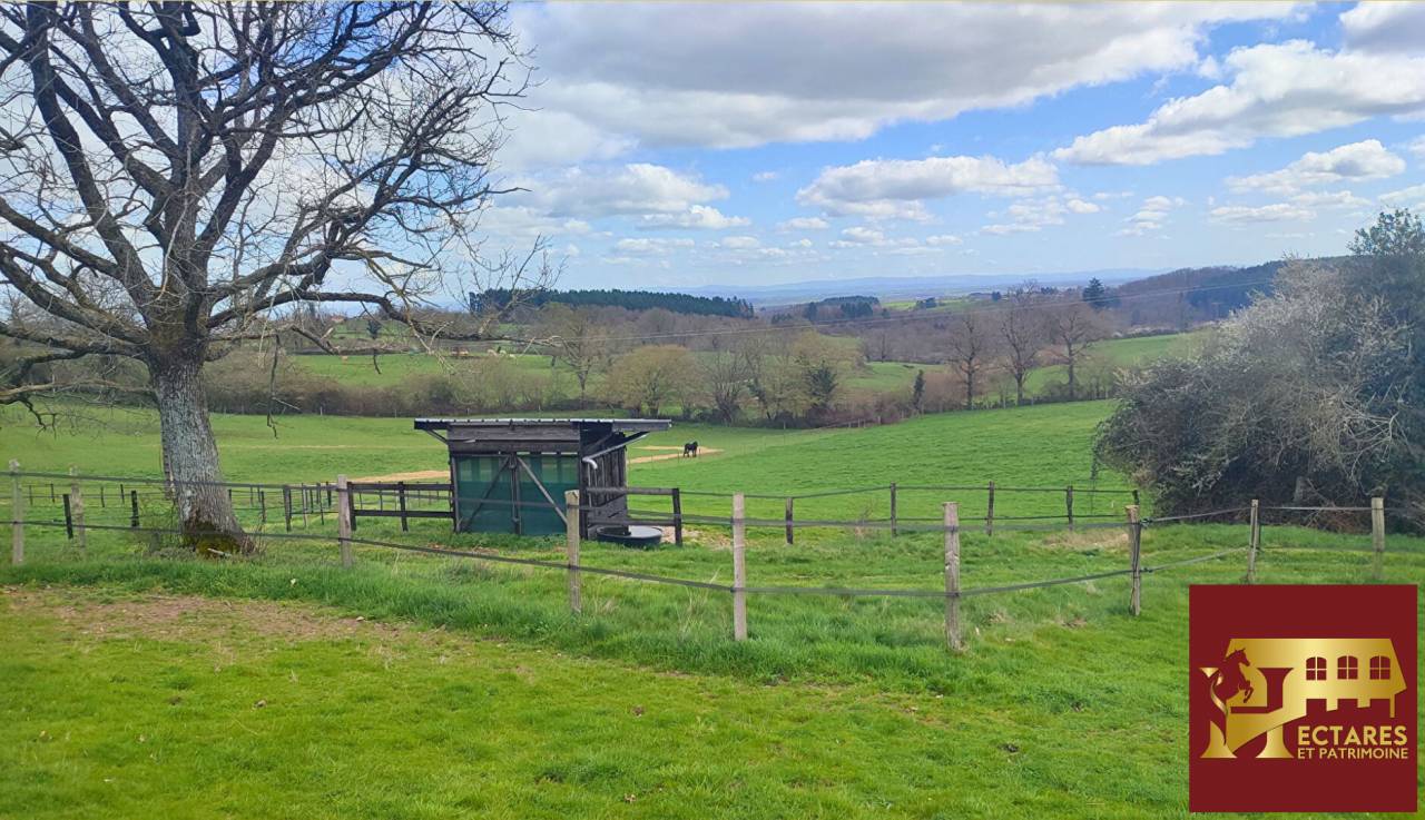 Albergue ecuestre En venta Allier