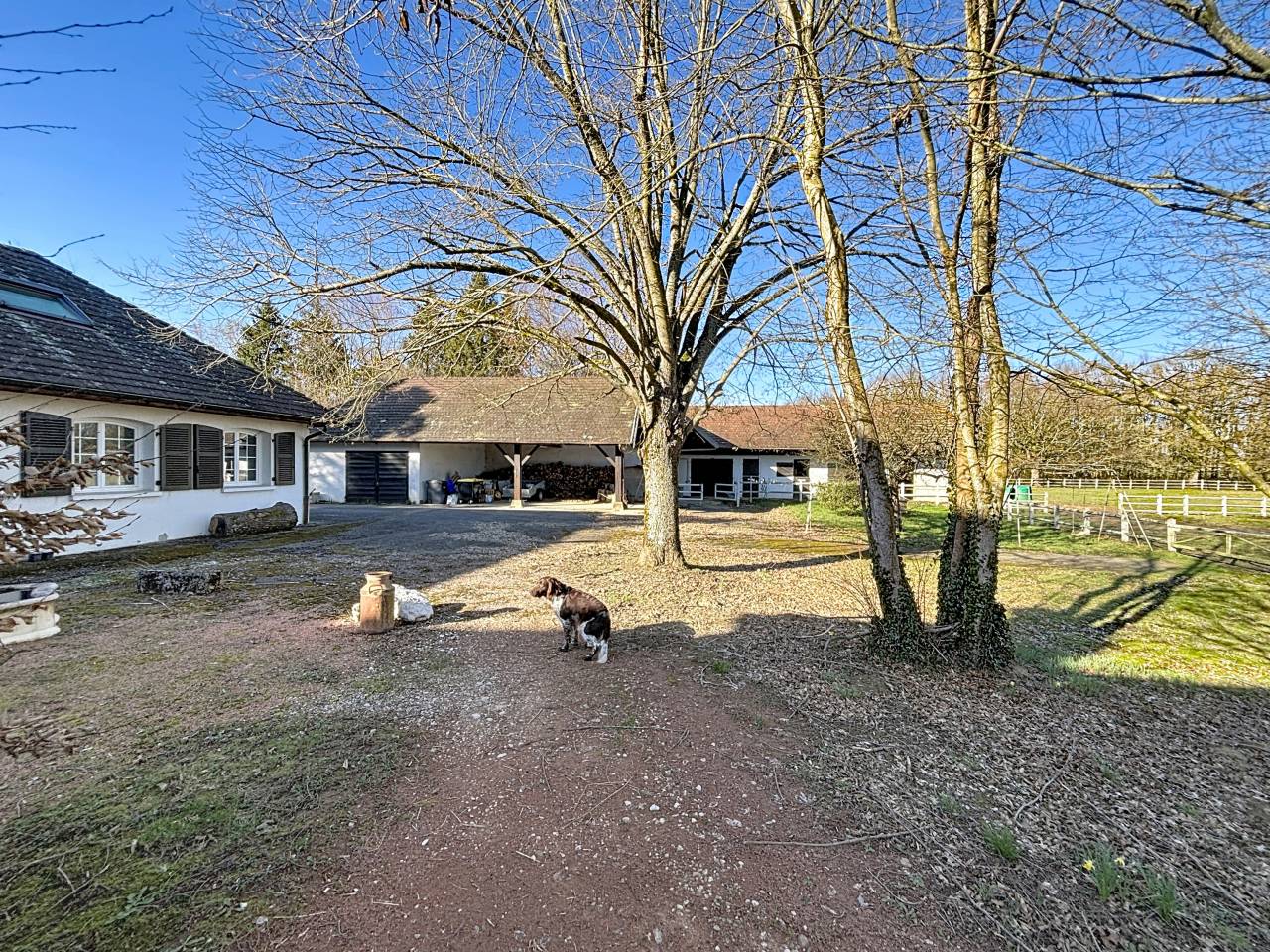 Bonita residencia ecuestre En venta Ain