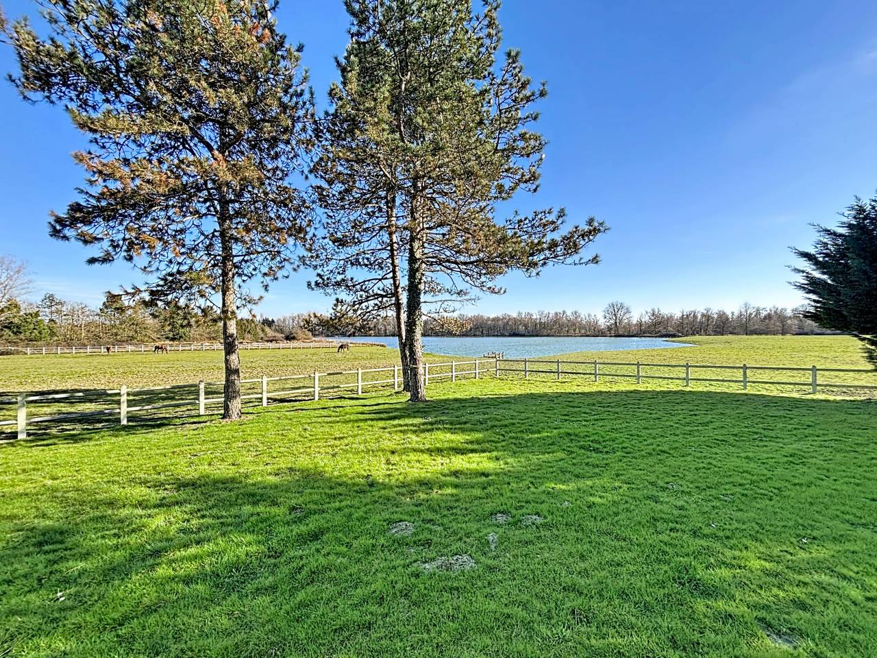 Bonita residencia ecuestre En venta Ain