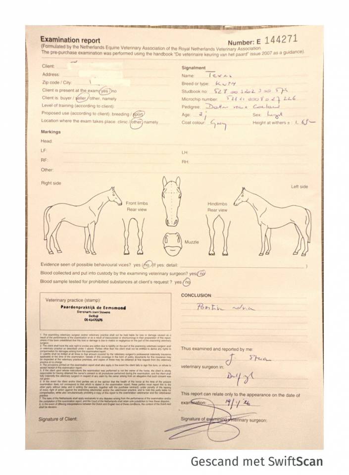 Caballo entero KWPN Caballo de Deporte Neerland&eacute;s En venta 2023 Tordo por Dallas vdl