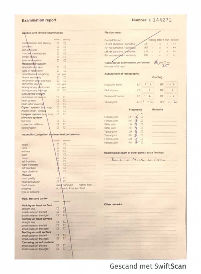 Caballo entero KWPN Caballo de Deporte Neerland&eacute;s En venta 2023 Tordo por Dallas vdl