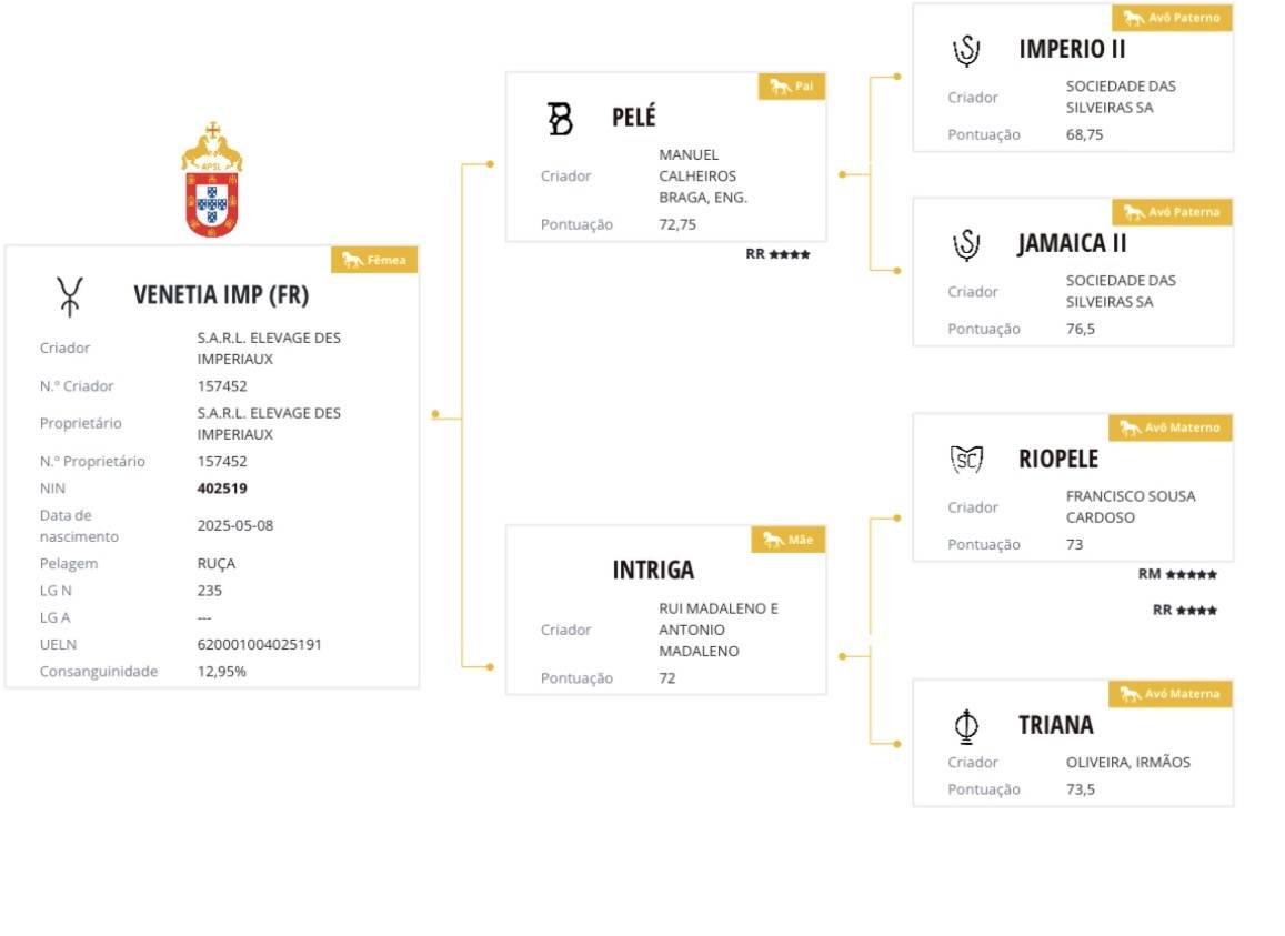 Potranca Lusitano En venta 2025 Tordo por Pel&eacute; MBR