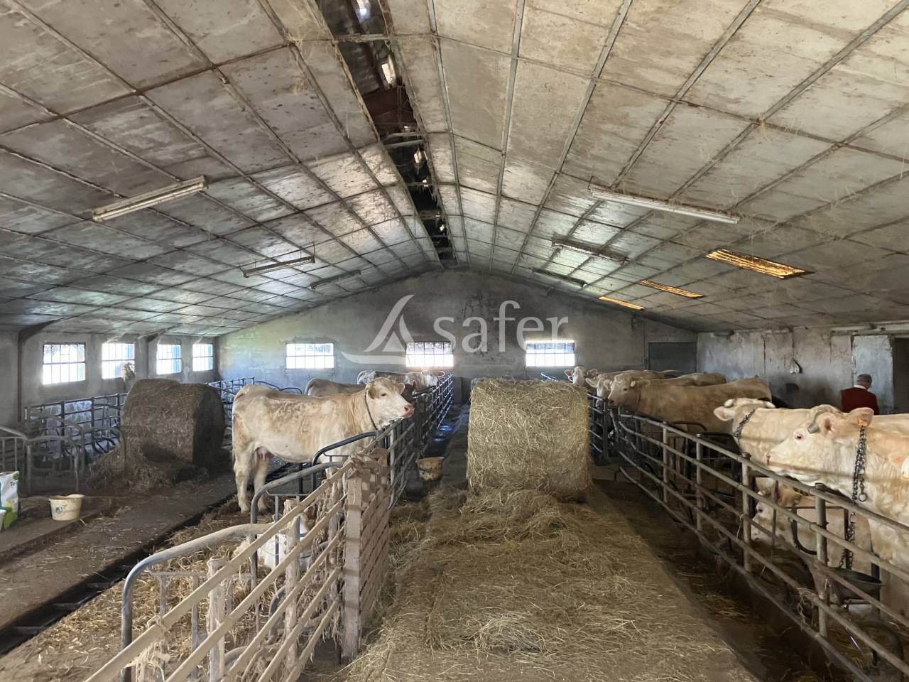 Propiedad rural En venta Saona y Loira