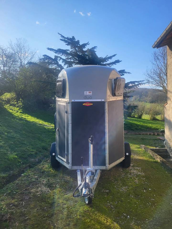 Van caballos Bockmann Duo esprit Silver+Black 2 Caballos 2022 De segunda mano