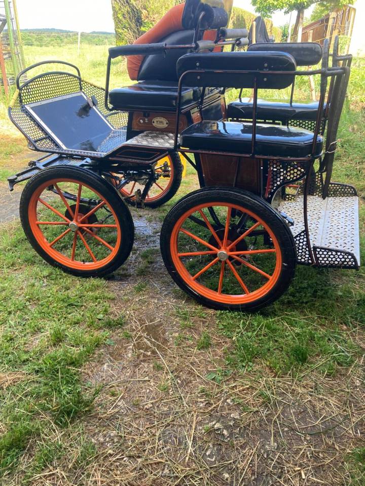 Coche enganches - Marat&oacute;n competici&oacute;n - Otra marca - Marathon 4 places 