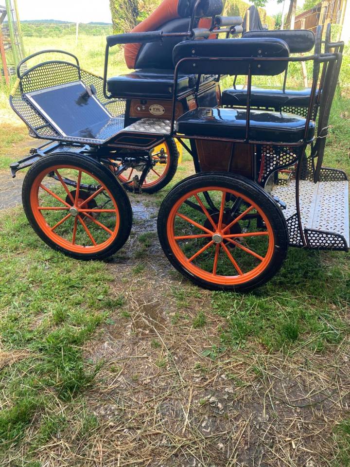 Coche enganches - Marat&oacute;n competici&oacute;n - Otra marca - Marathon 4 places 