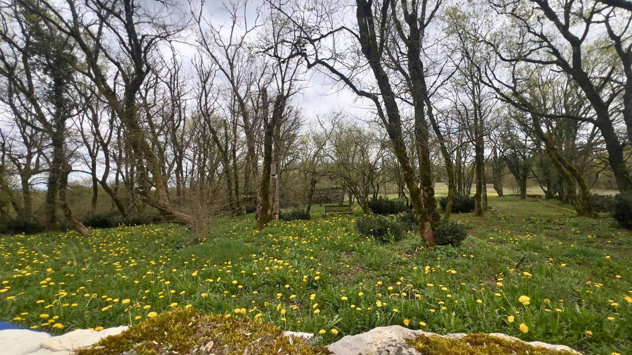 Bonita residencia ecuestre En venta Lot