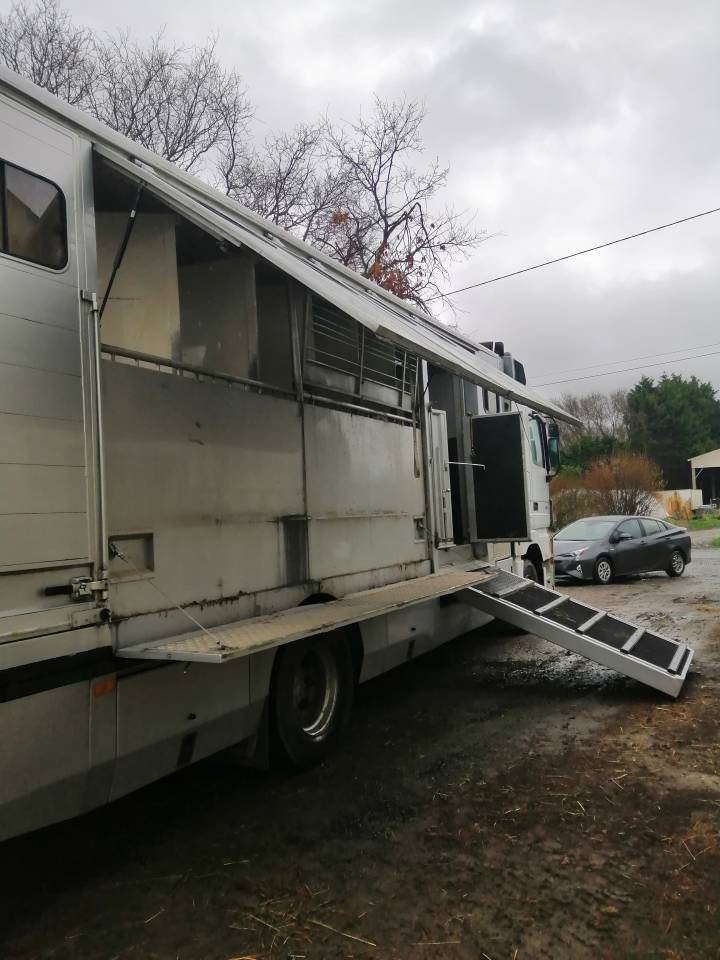 Cami&oacute;n para caballos Mercedes Actros  2005 De segunda mano