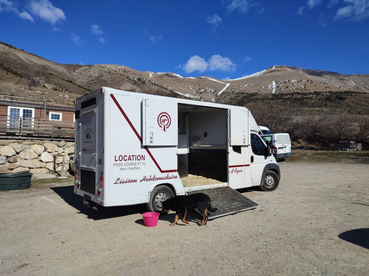 Furgoneta para caballos Fiat  FIAT MTM 2016 De segunda mano