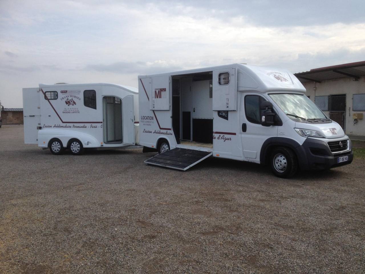 Furgoneta para caballos Fiat  FIAT MTM 2016 De segunda mano