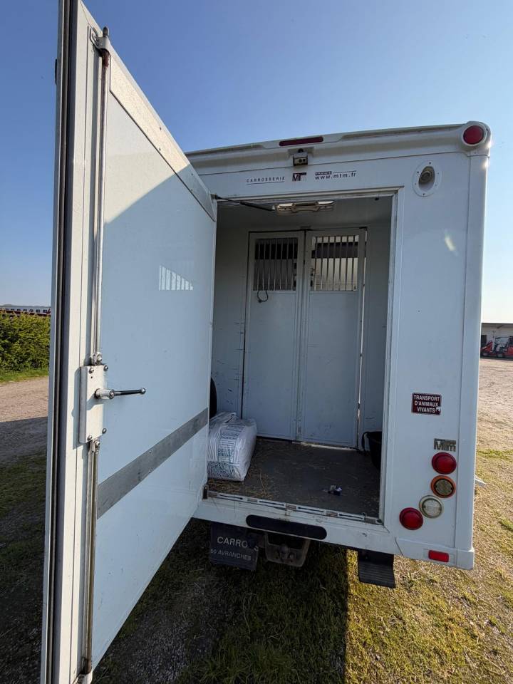Furgoneta para caballos Fiat  FIAT MTM 2016 De segunda mano