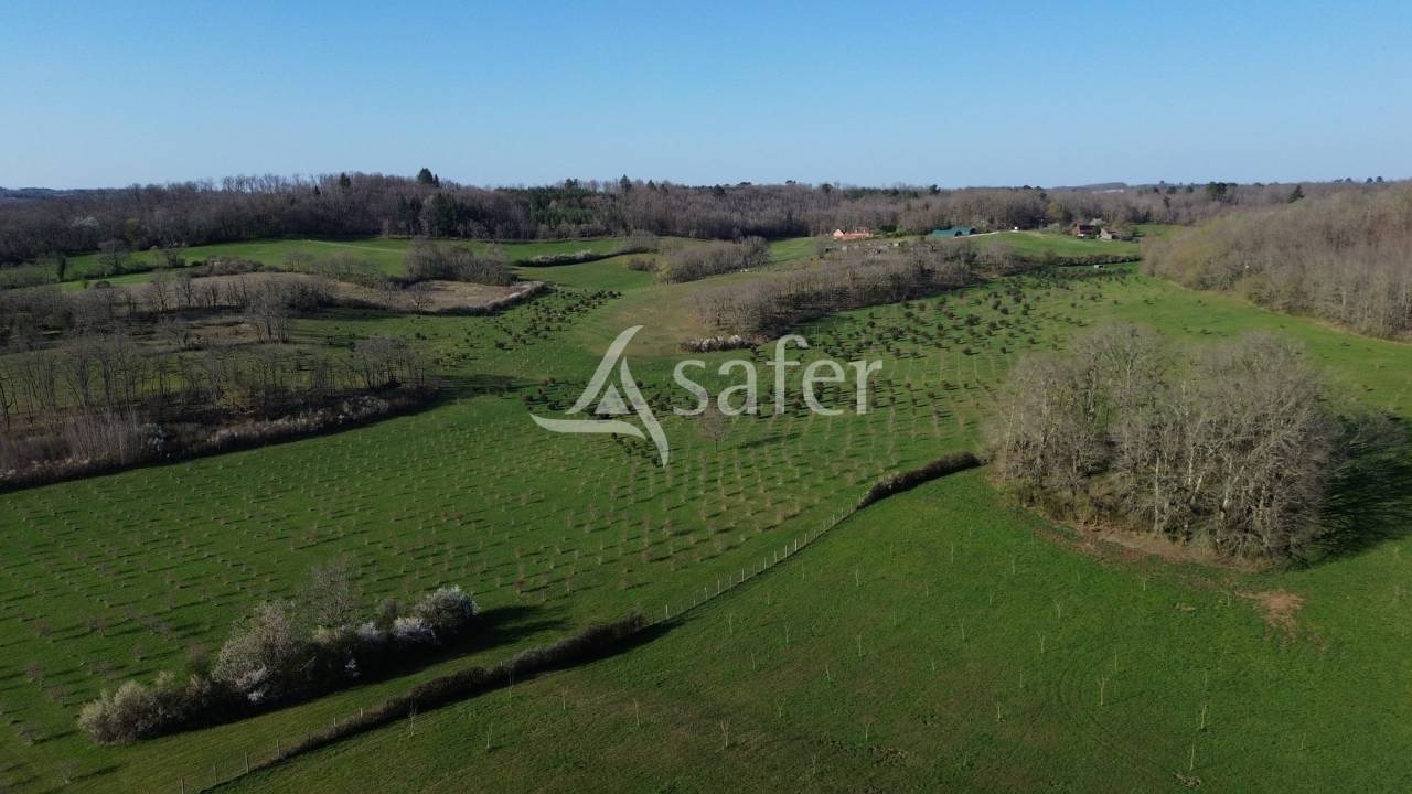 Explotaci&oacute;n agr&iacute;cola En venta Dordo&ntilde;a