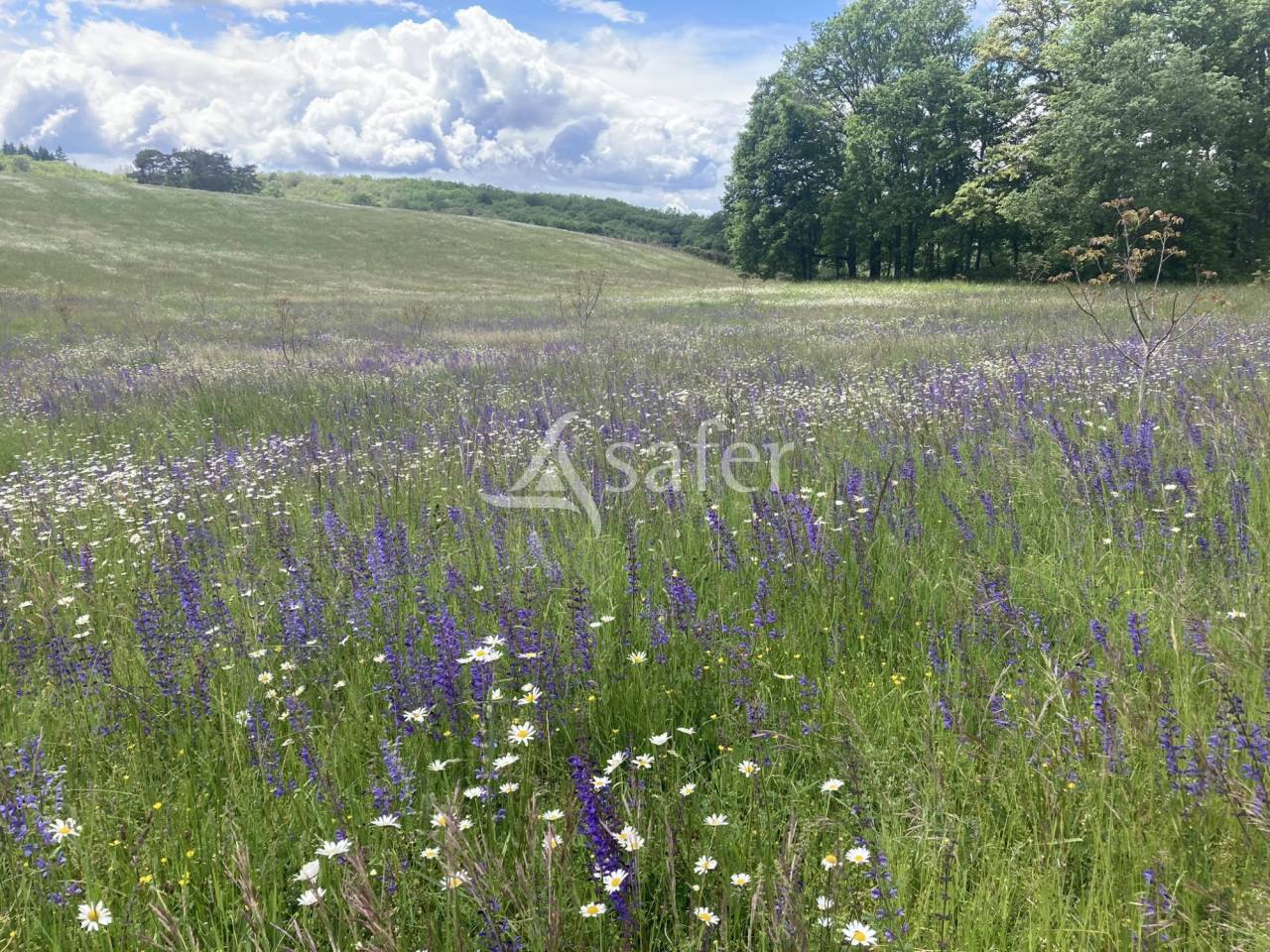 Explotaci&oacute;n agr&iacute;cola En venta Dordo&ntilde;a