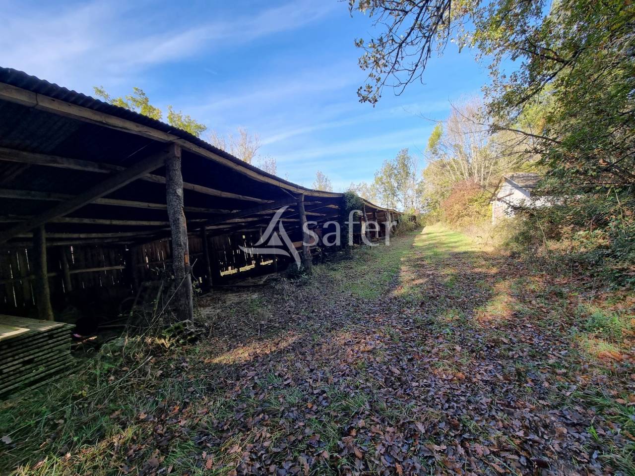 Propiedad rural En venta Lot