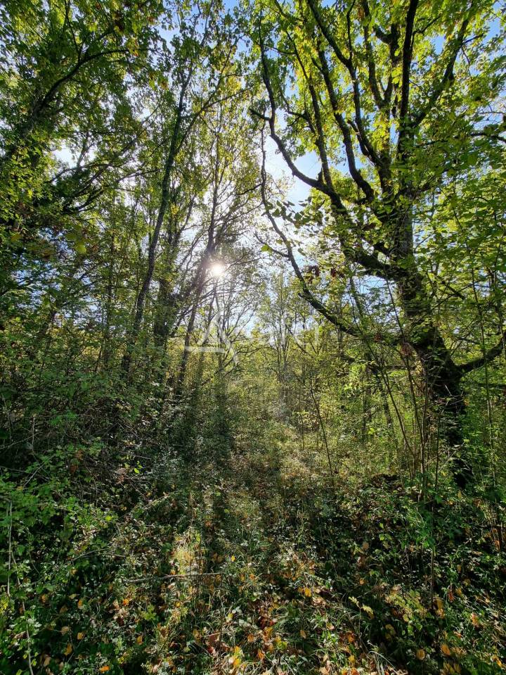 Propiedad rural En venta Lot