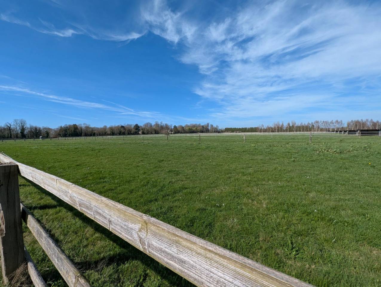 Propiedad ecuestre En venta Calvados