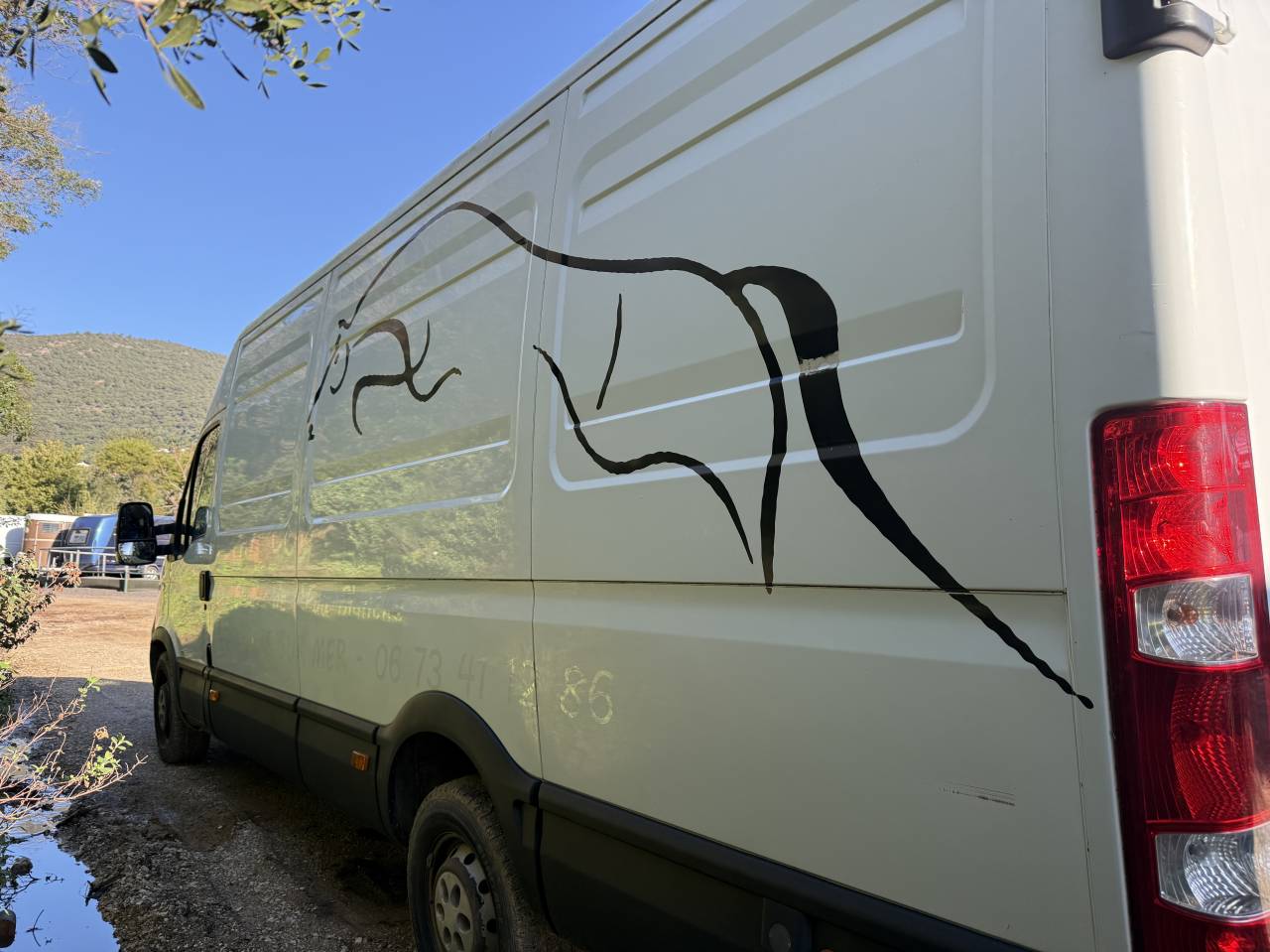 Furgoneta para caballos Iveco Daily 2007 De segunda mano