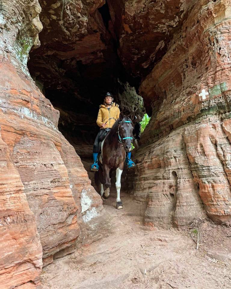 Caballo castrado Media Sangre Arabe En venta 2017 Tobiano