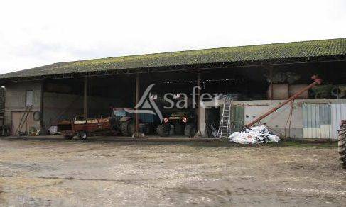 Explotaci&oacute;n agr&iacute;cola En venta Indre y Loira