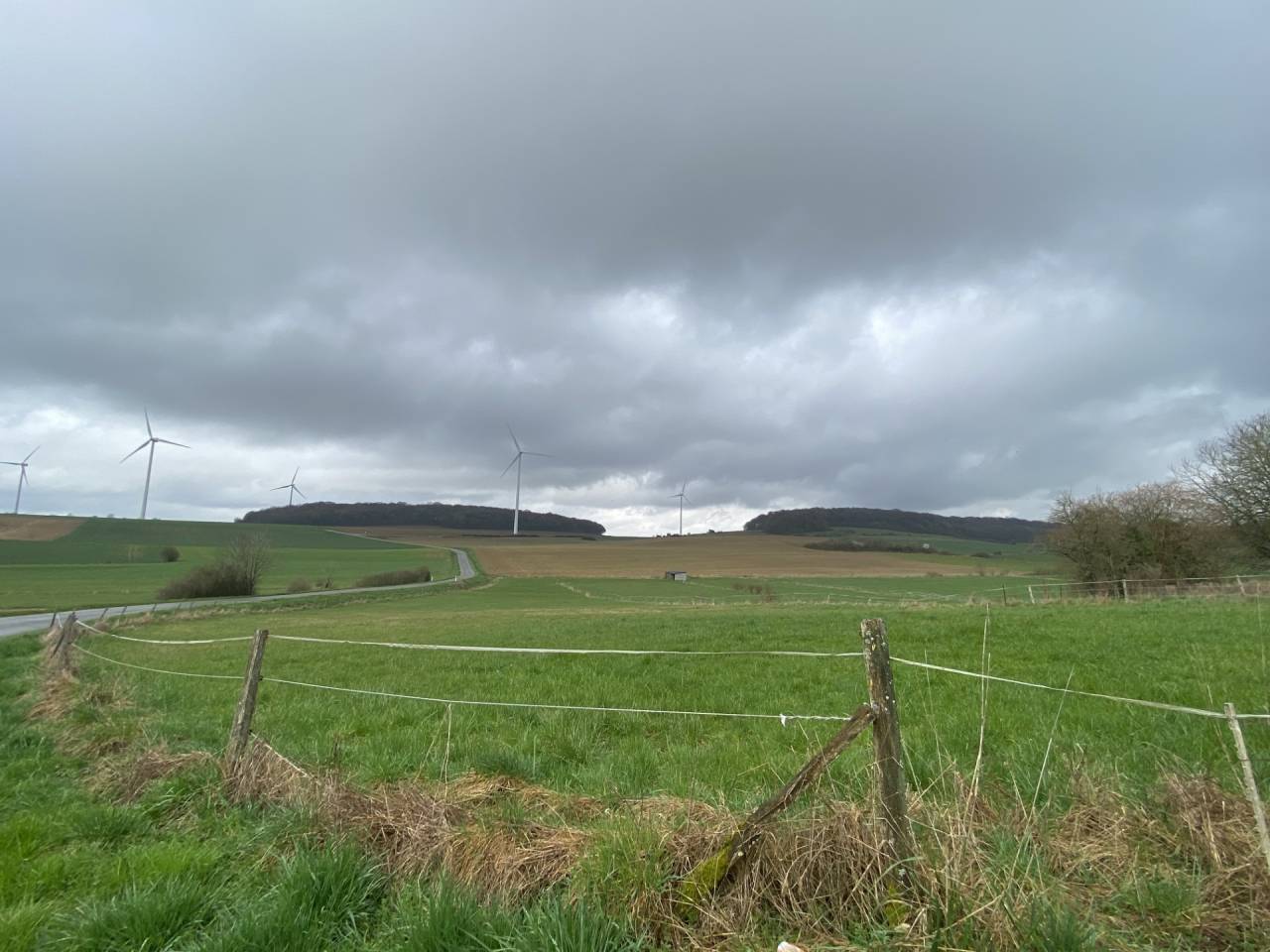 Bonita residencia ecuestre En venta Meurthe y Mosela