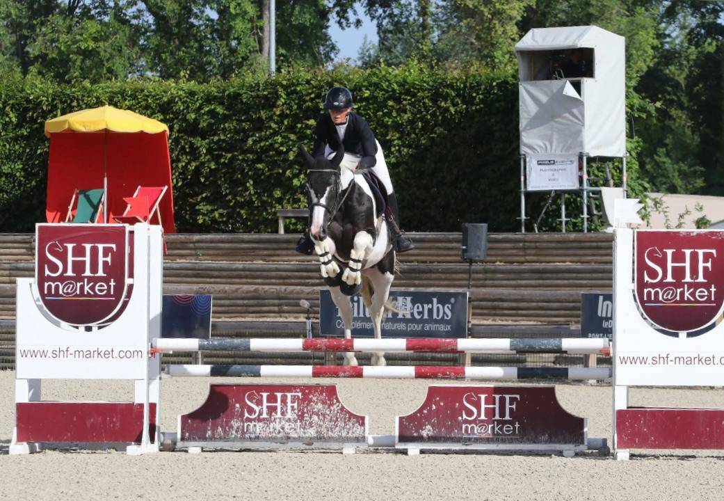 LINVICTUS D'ENJOY - AES Anglo European Studbook 2021