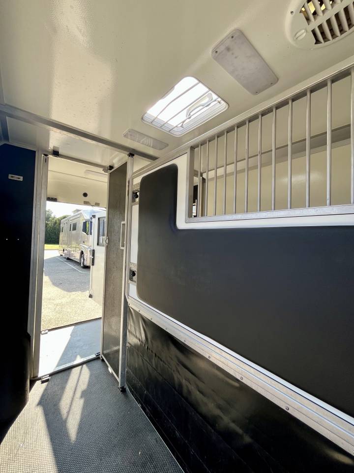 Furgoneta para caballos STX  2021 De segunda mano